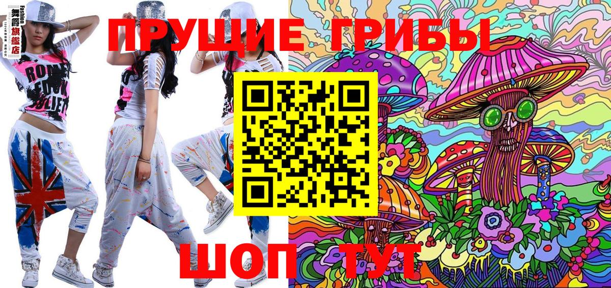 Псилоцибиновые грибы прущие грибы  Вход с VPN  Сегежа 