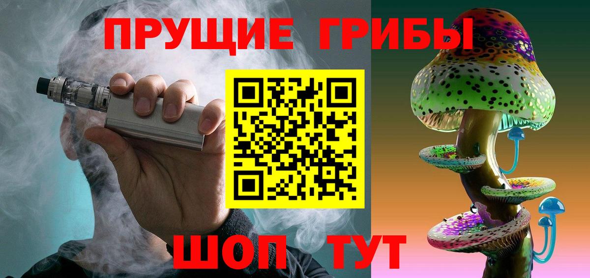 Псилоцибиновые грибы мицелий Сегежа